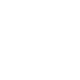 Flight Fusion Logo